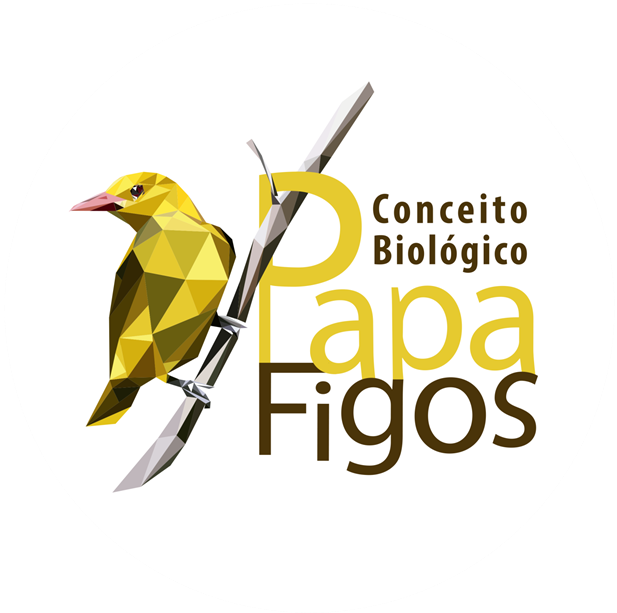 Papa Figos Bio